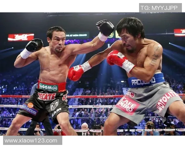 马奎兹与库托精彩对决视频回顾赛场瞬间尽收眼底